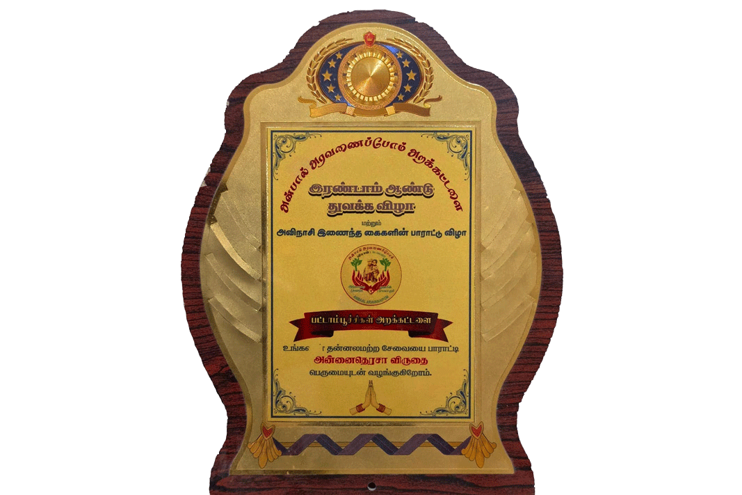 Annai Teresa Award-Award